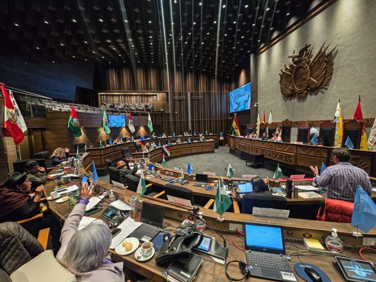senado_sesion_8