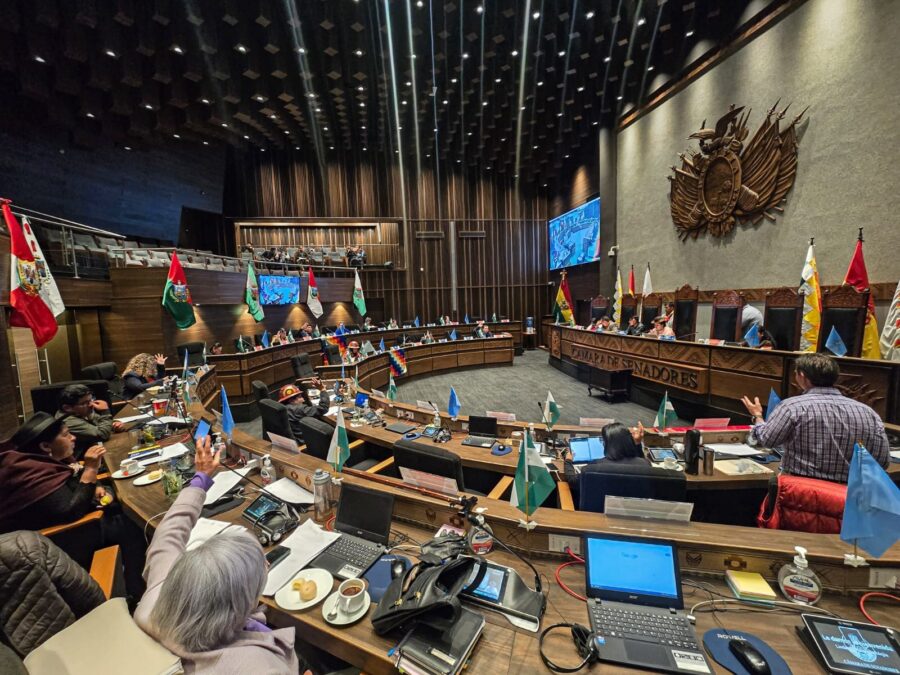 senado_sesion_8
