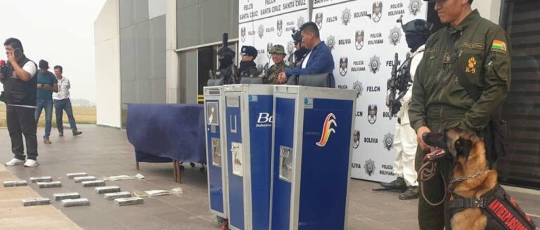 droga-boa_101-10081966_20241001110150