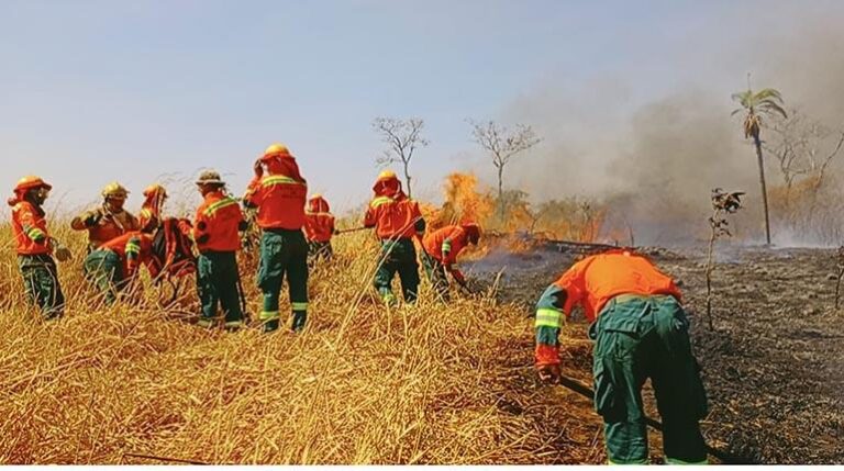 incendios_2 (1)