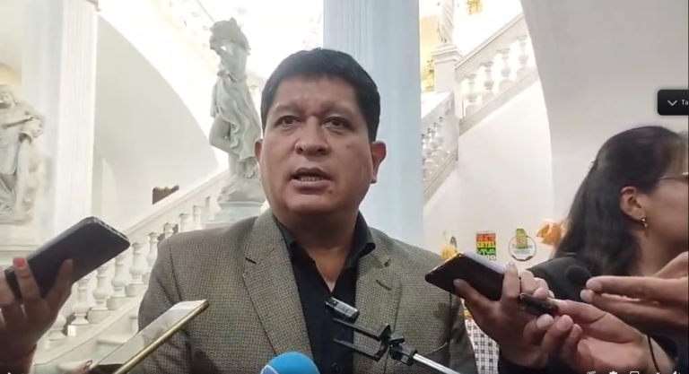 El jefe de bancada del MAS en el Senado, Luis Adolfo Flores.