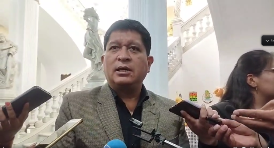 El jefe de bancada del MAS en el Senado, Luis Adolfo Flores.