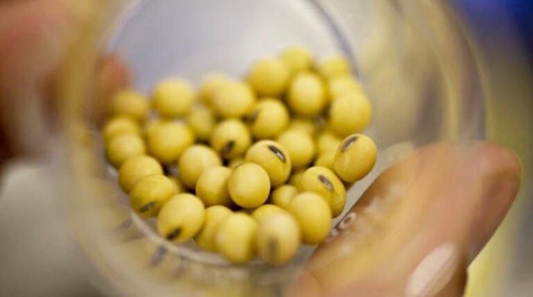 7_eco_3_agroavancescom