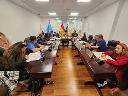 DIPUTADOS SUPRAESTATALES DE BOLIVIA