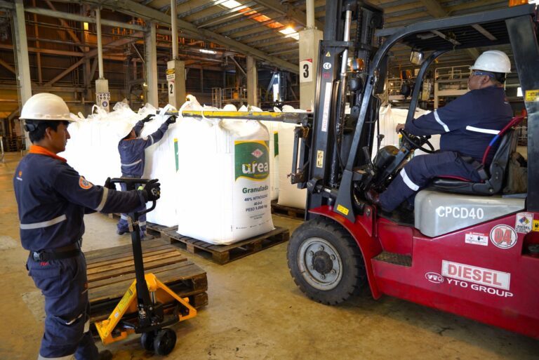 WhatsApp Image 2025-01-14 at 15.22.12