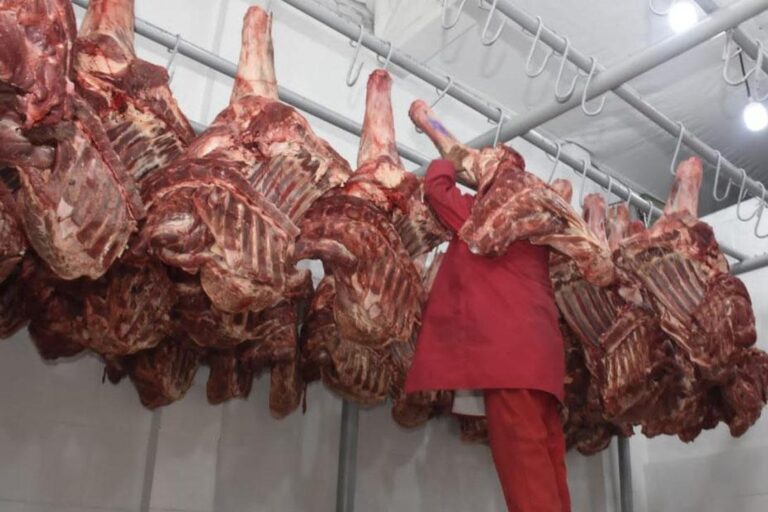 carne-de-res