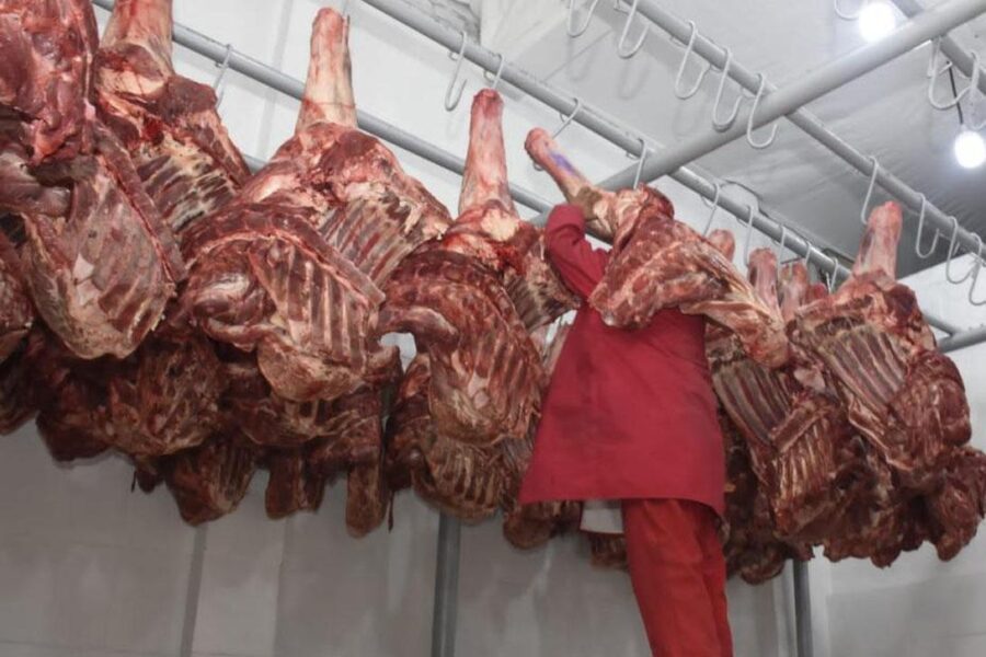 carne-de-res