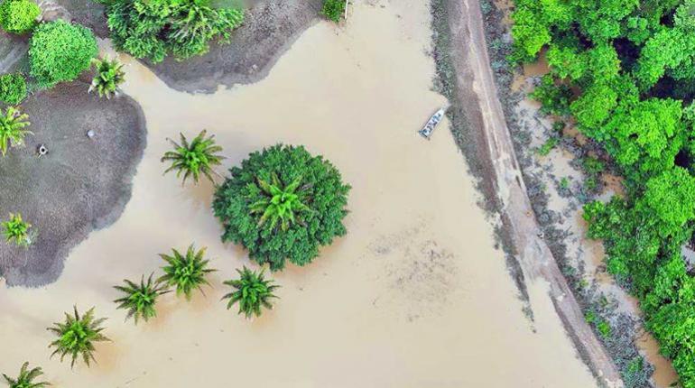 3_p_1_gobernacion_beni