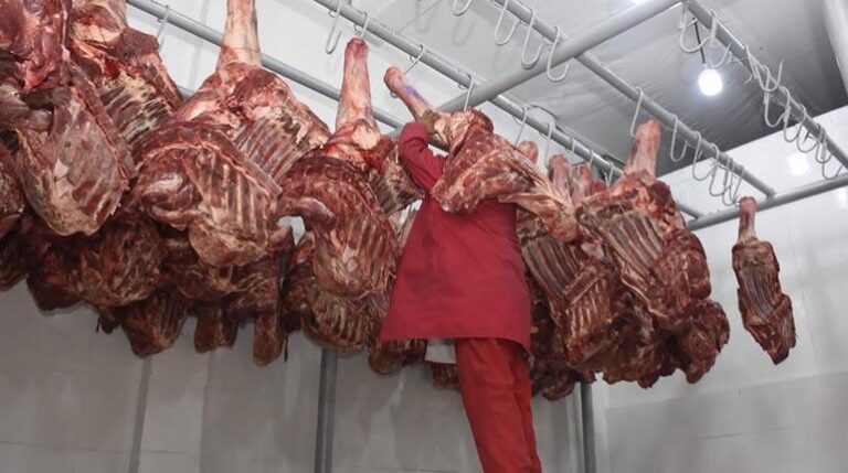 carne (1)