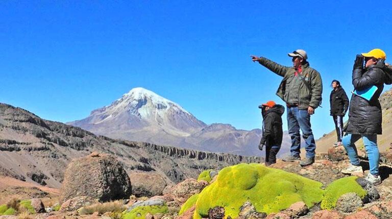 esp_p_tati_glaciares_1_parque_nal_sajama (1)