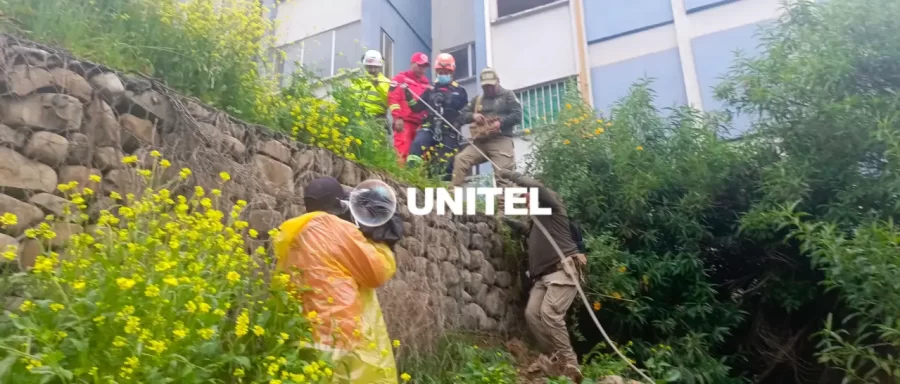 victoma_101-11297600_20250303143418