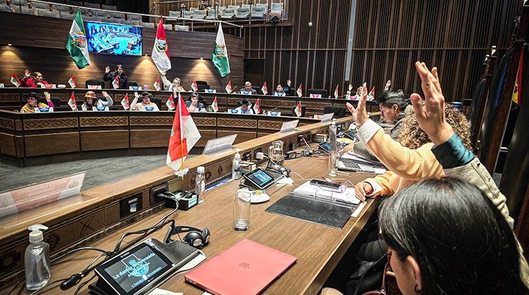 2_p_2_senado_bolivia