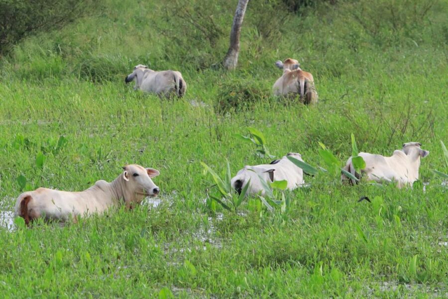 cec94f3cde8551c194a76d2ab3c89a76706f31d6w