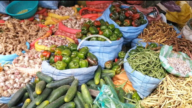 verduras
