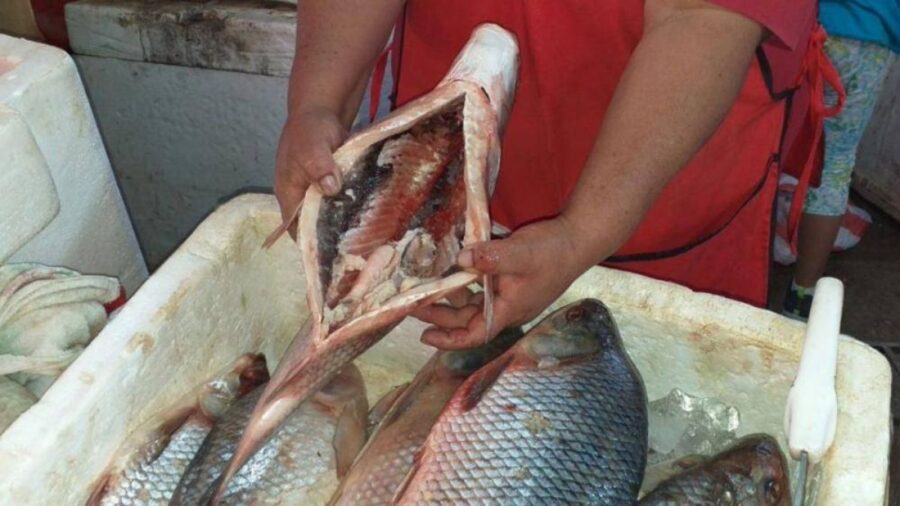 9b41d6a2-6a7c-45e4-9b4f-75cd9bf063a2