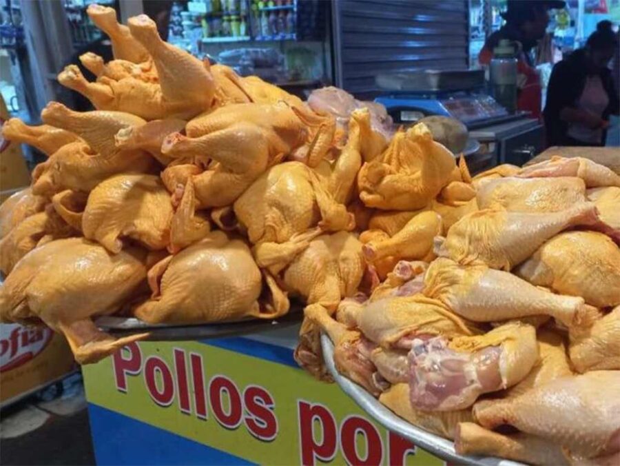 Bolivia-Pollos