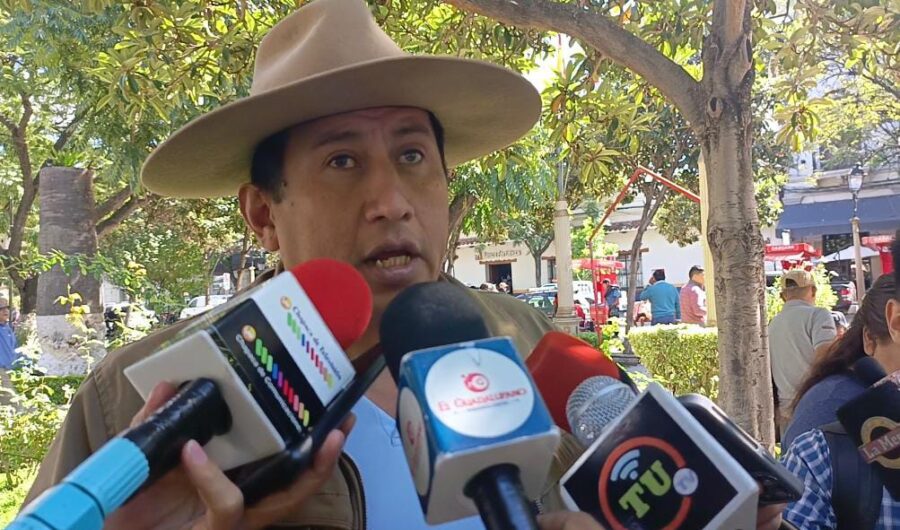 WhatsApp Image 2025-05-30 at 17.30.00