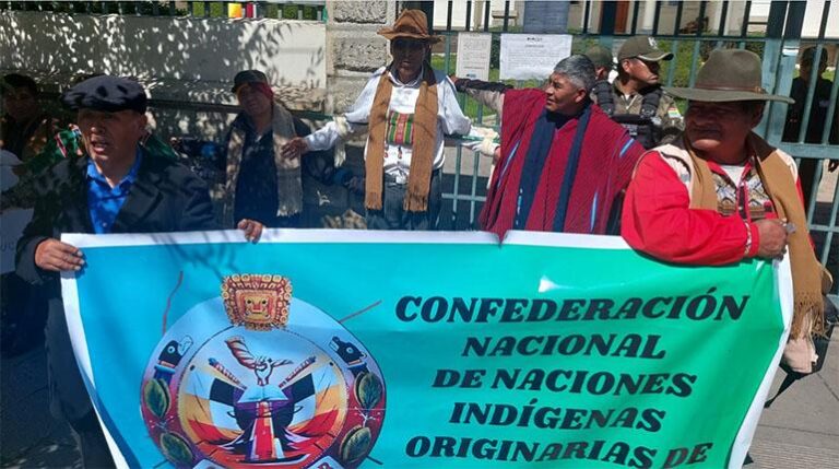 tse_indigenas