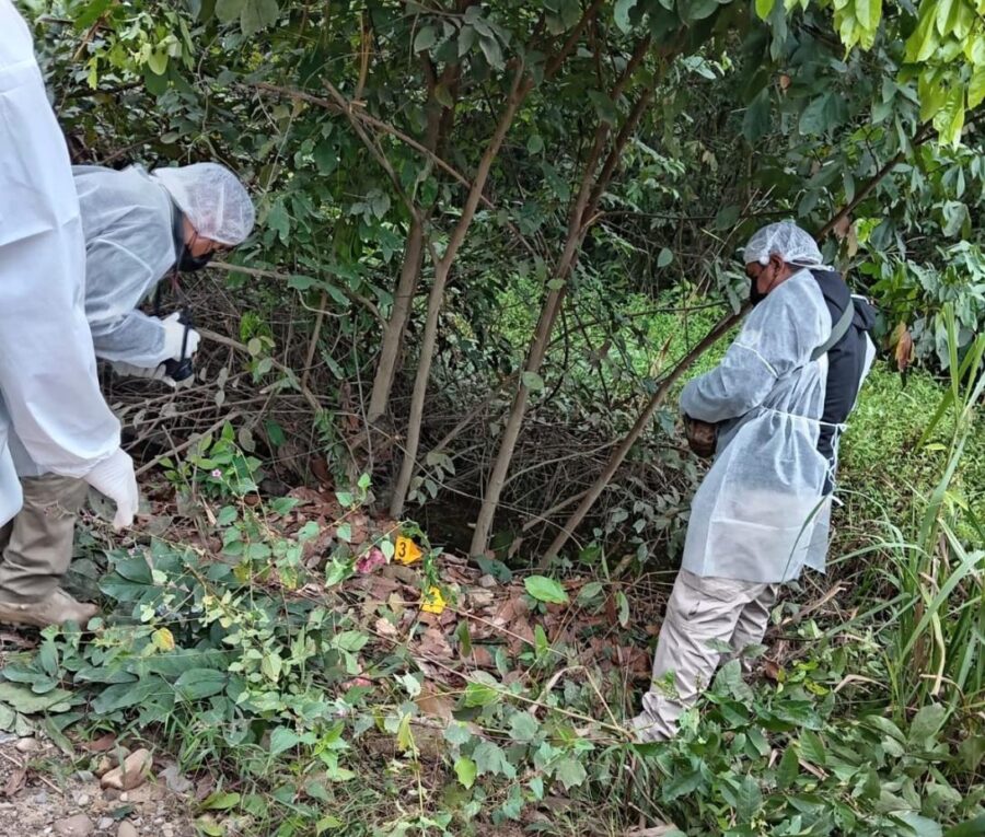 whatsapp-image-2025-05-30-at-15.14.23-1