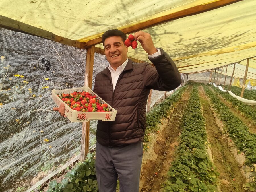 WhatsApp Image 2025-06-12 at 17.59.16