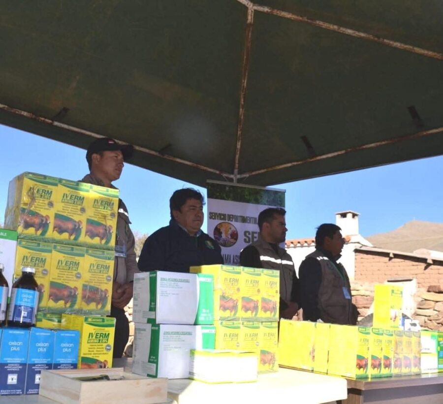 WhatsApp Image 2025-06-17 at 21.53.10