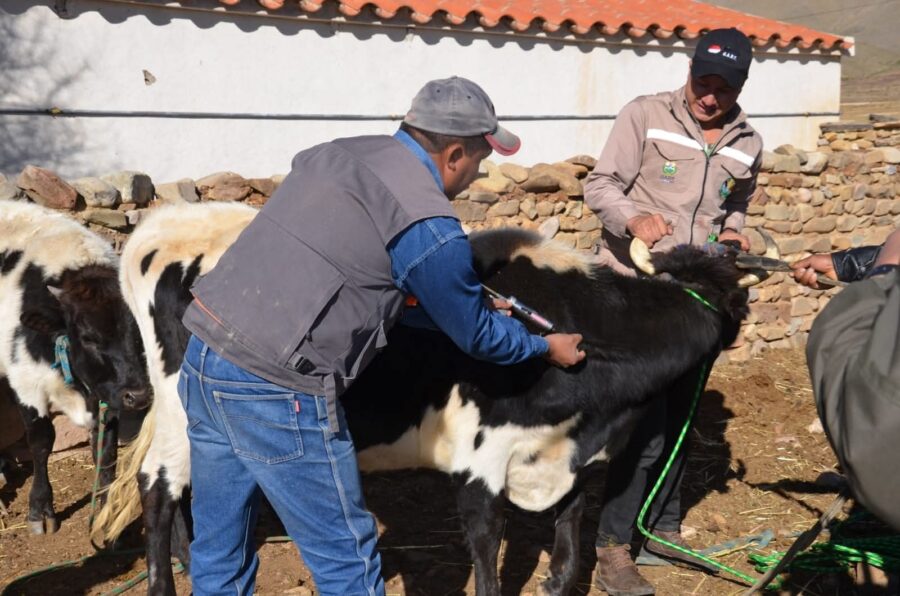 WhatsApp Image 2025-06-18 at 13.14.58