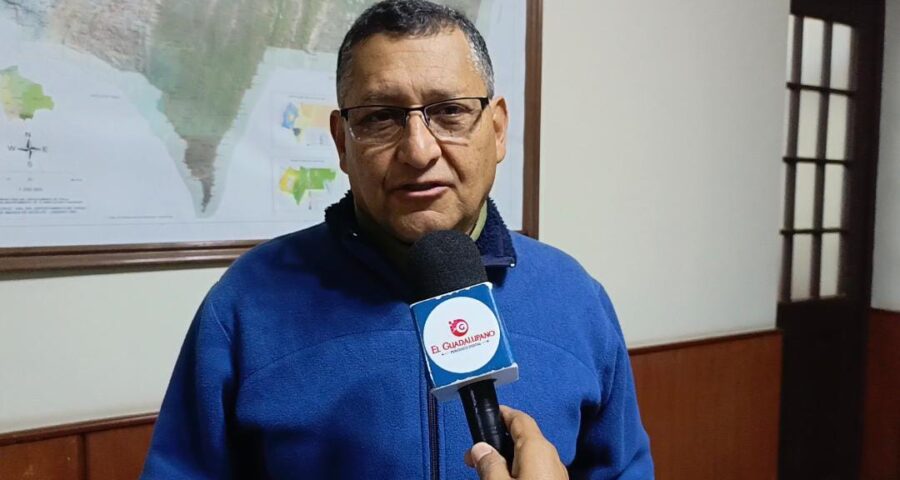 WhatsApp Image 2025-06-24 at 21.38.28