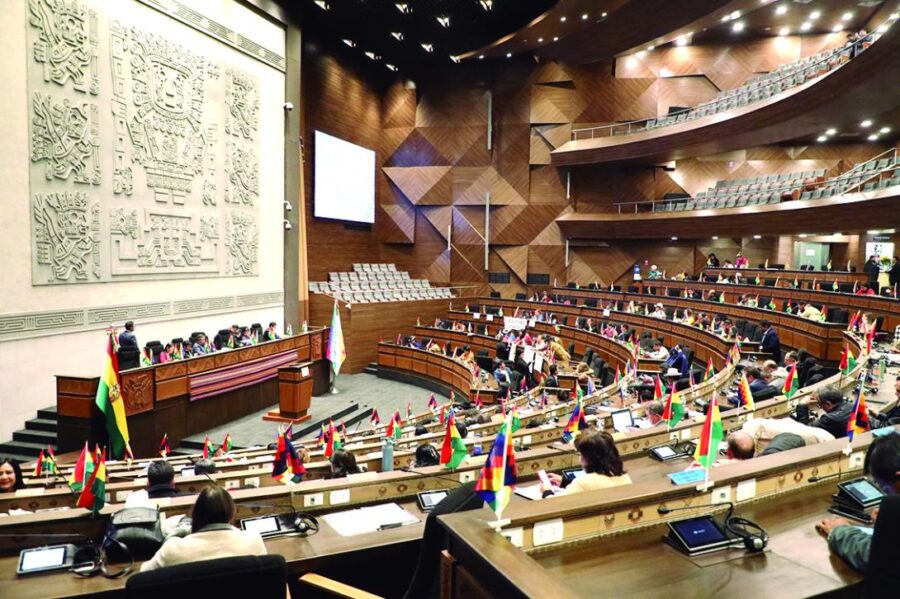 ASAMBLEA PLURINACIONAL