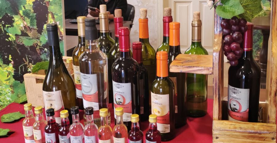 WhatsApp Image 2025-07-04 at 18.47.47 (1)