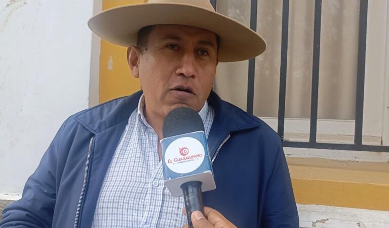 WhatsApp Image 2025-07-09 at 16.42.08