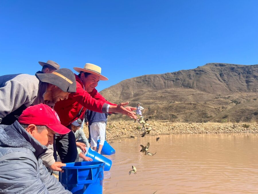 WhatsApp Image 2025-07-21 at 16.29.21