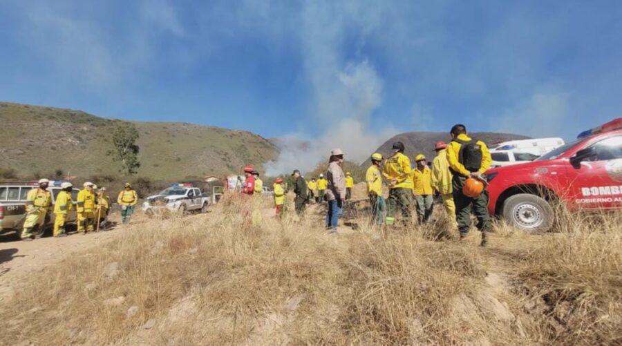 WhatsApp Image 2025-07-31 at 22.00.08