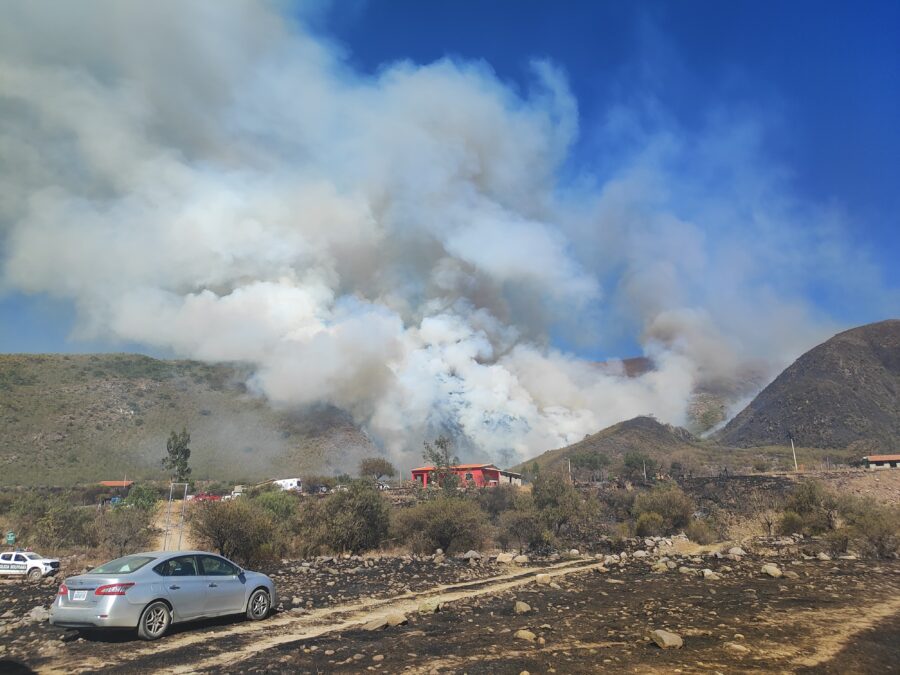 WhatsApp Image 2025-07-31 at 22.03.19