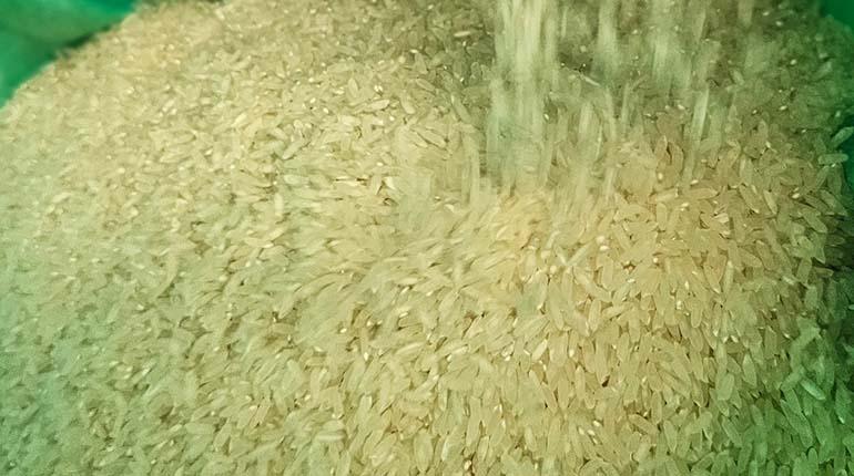 arroz_ed_va