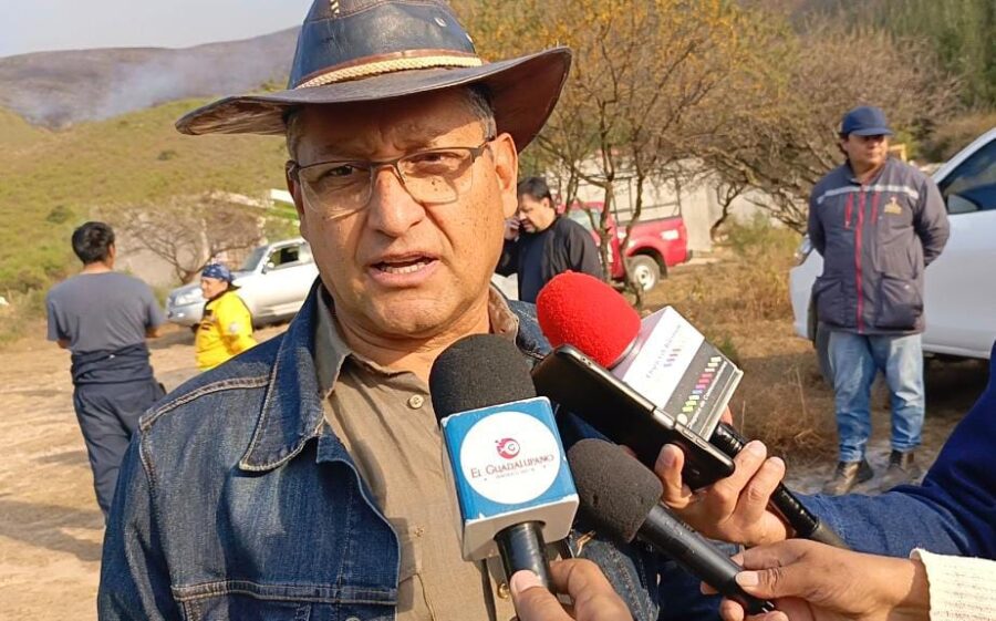 WhatsApp Image 2025-08-01 at 19.08.18