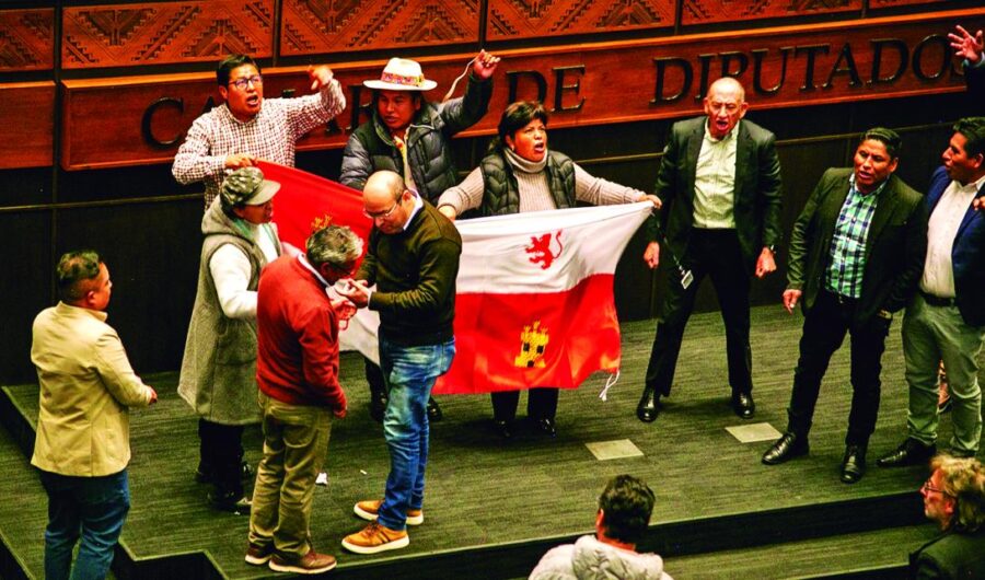 apg-contratos-litio-diputados-dg