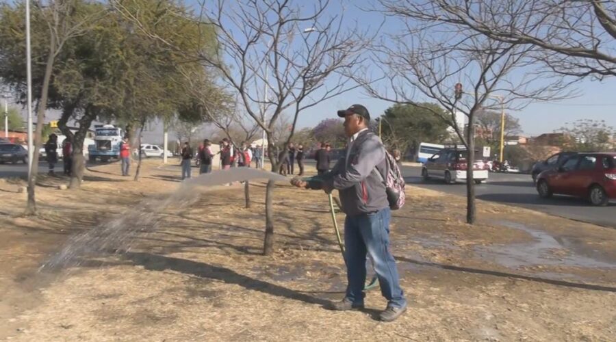 WhatsApp Image 2025-09-17 at 22.14.53