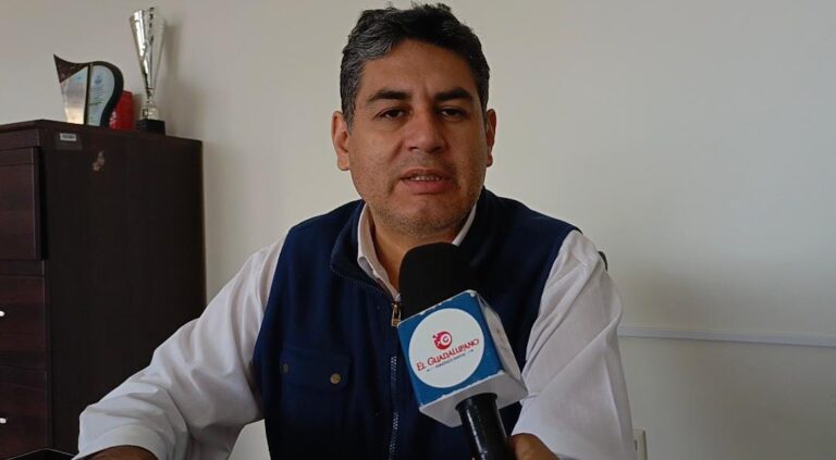 WhatsApp Image 2025-11-13 at 11.11.28