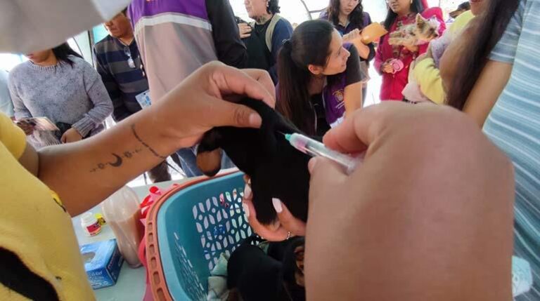 vacunacion_antirrabica_dj_ed_listo (1)