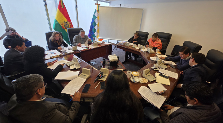 COMISION DE CONSTITUCION JUAN DEL GRANADO VOCALES DEL TSE
