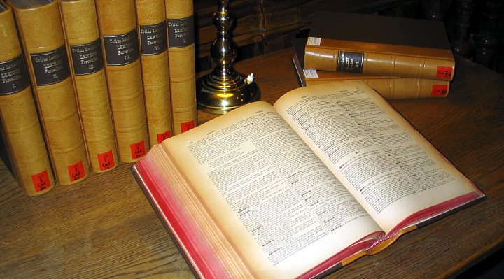 b_54458_que-es-un-bolivianismo-y-como-se-incluye-en-el-diccionario-de-la-lengua-1