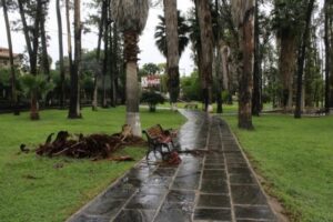 parque-oscar-alfaro