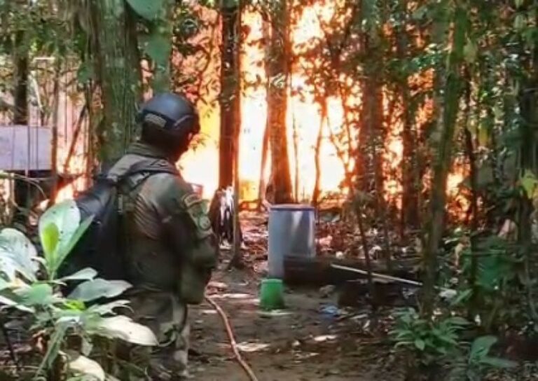 693e608c-de02-40f2-b6a3-0466aa482919