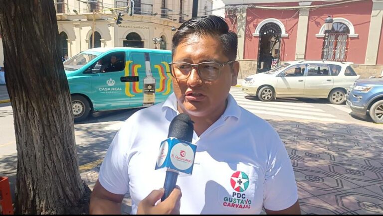 WhatsApp Image 2026-02-11 at 20.56.15