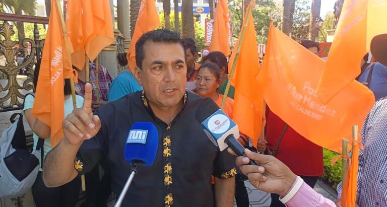 WhatsApp Image 2026-02-11 at 21.55.21