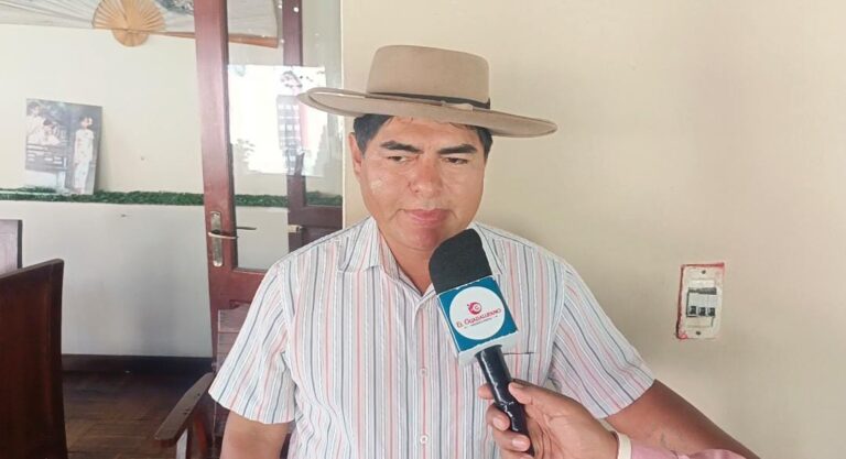 WhatsApp Image 2026-02-11 at 22.01.31