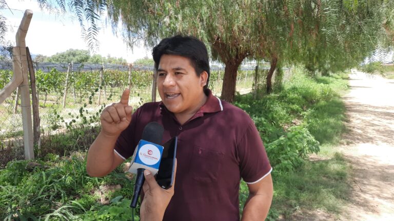 WhatsApp Image 2026-03-04 at 08.33.38