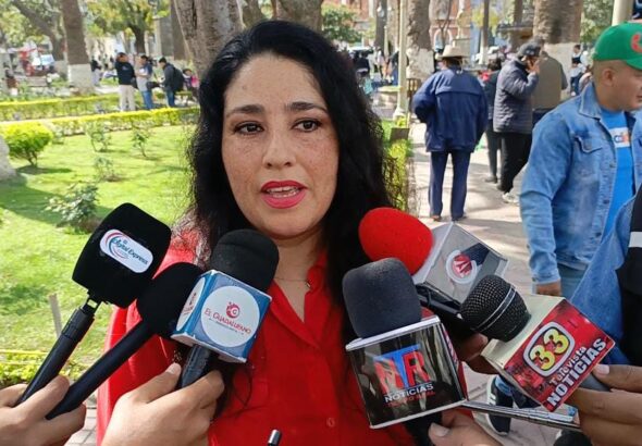GABRIELA PACELLO DIPUTADA