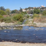 CONTAMINACION DEL RIO GUADALQUIVIR